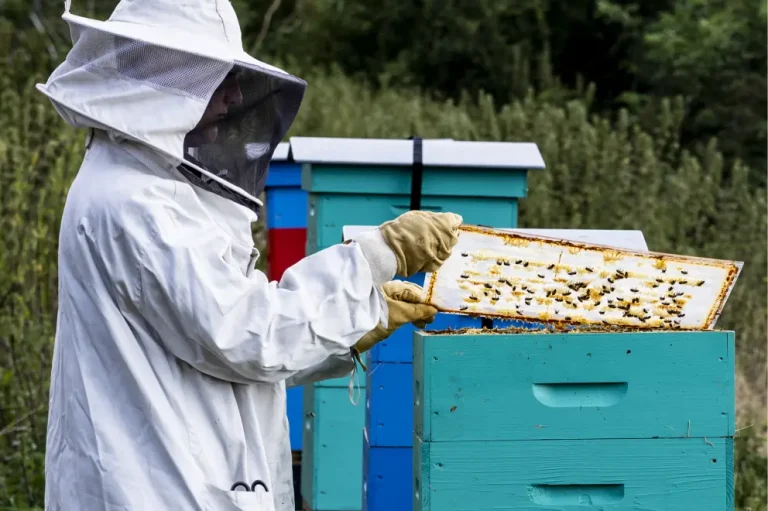 Être un acteur engagé au coeur de nos territoires